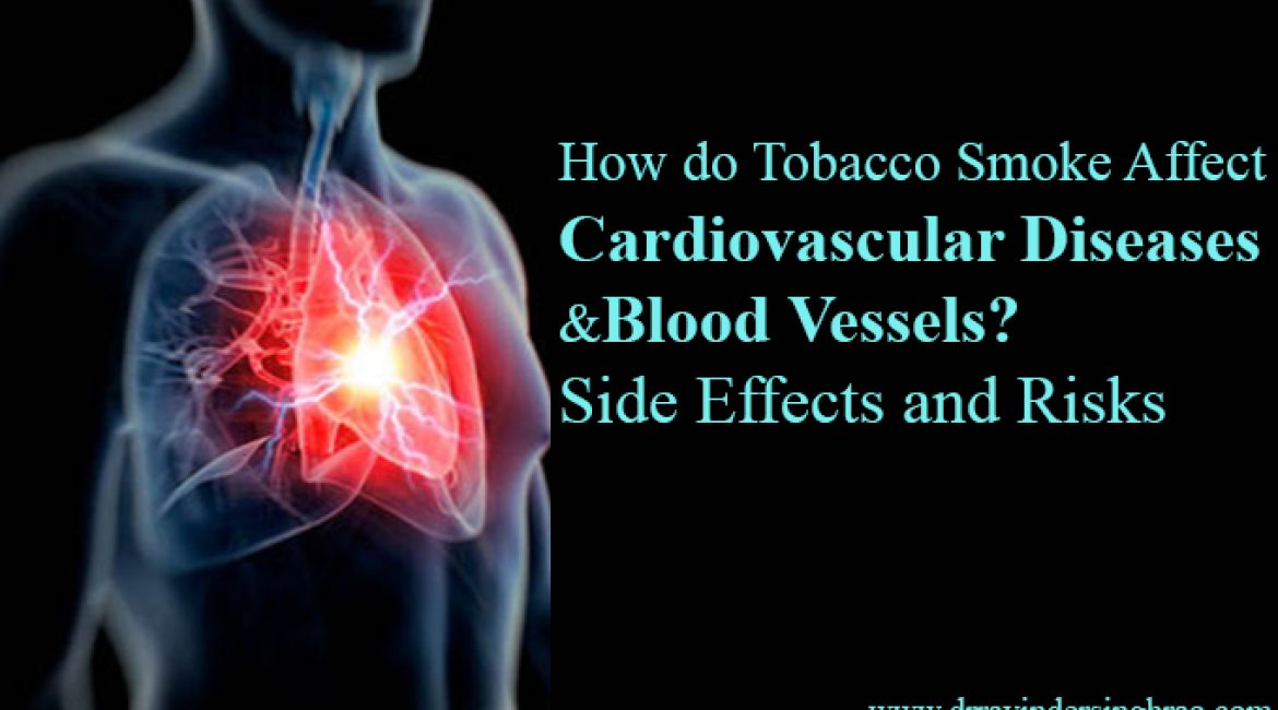 How do Tobacco Smoke Affect Cardiovascular Diseases and Blood Vessels?